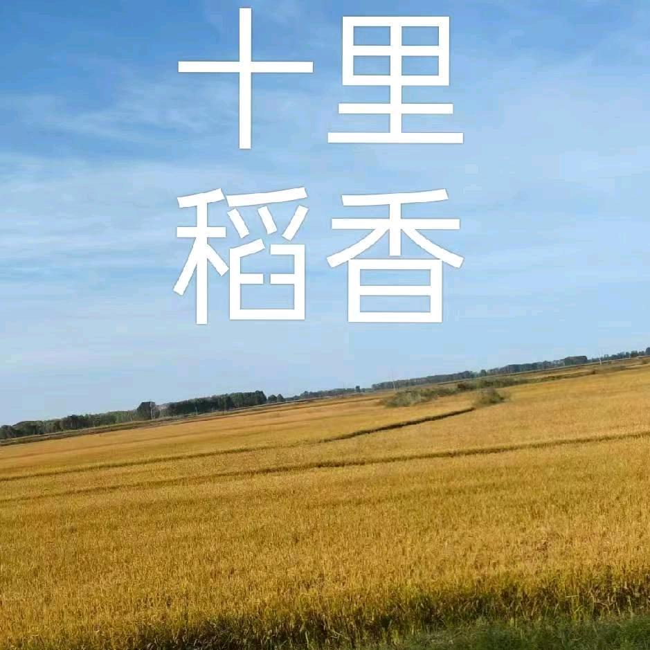 @涛哥
