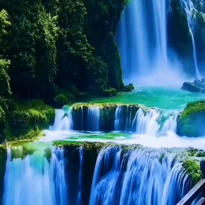 杨哥