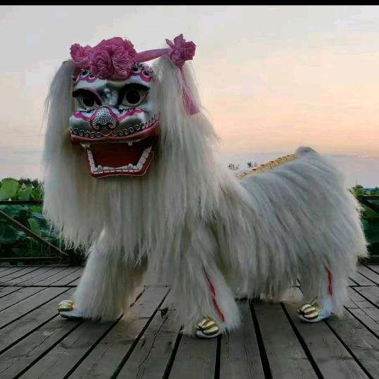 山东赵峰龙狮艺术团🔥🔥🔥🔥