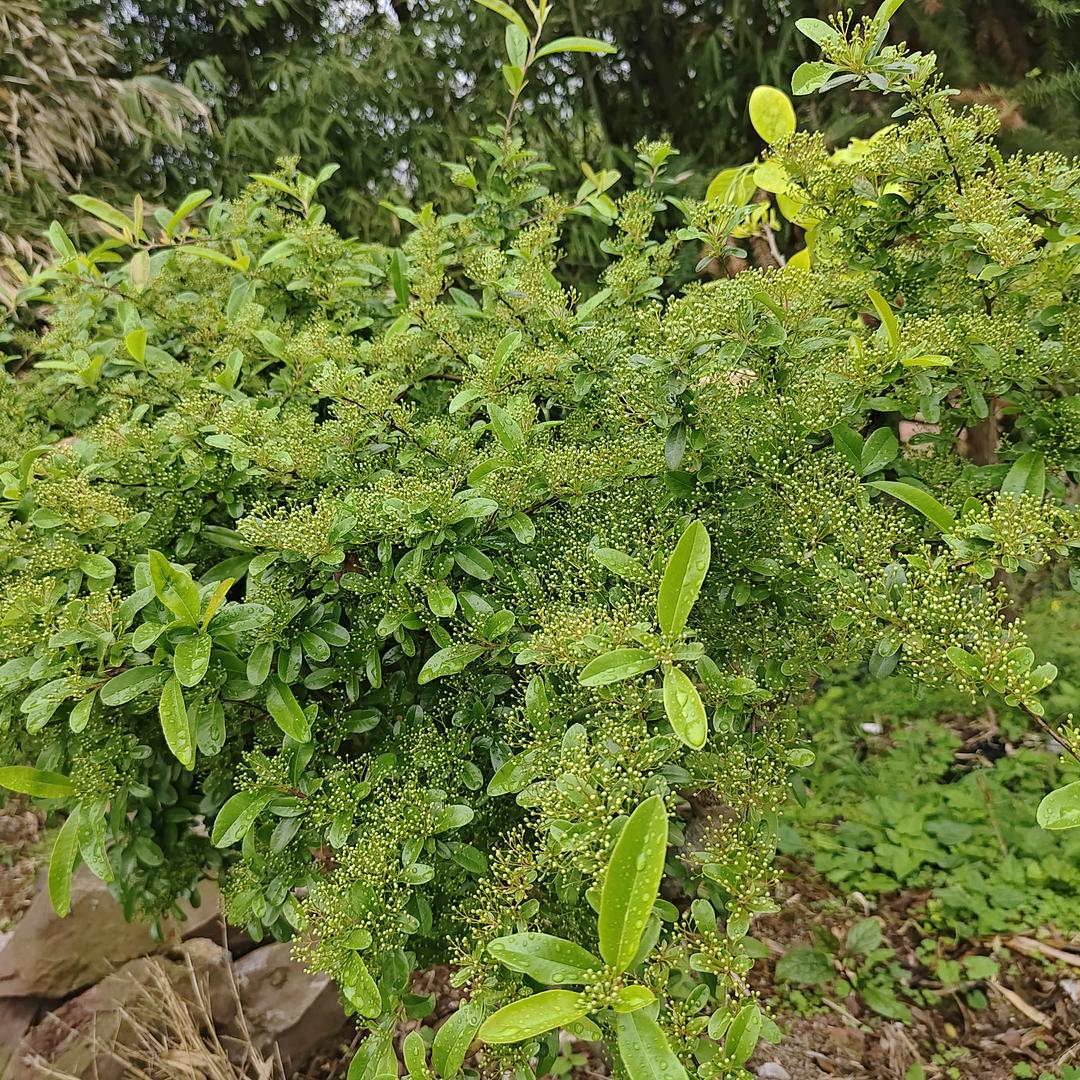 蓝天