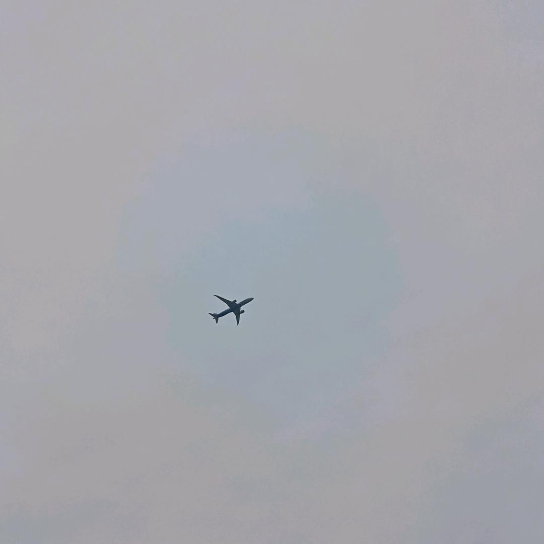 Z☡zᶻ