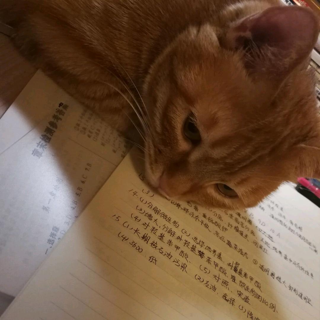 我一个rq扫开巴卡那