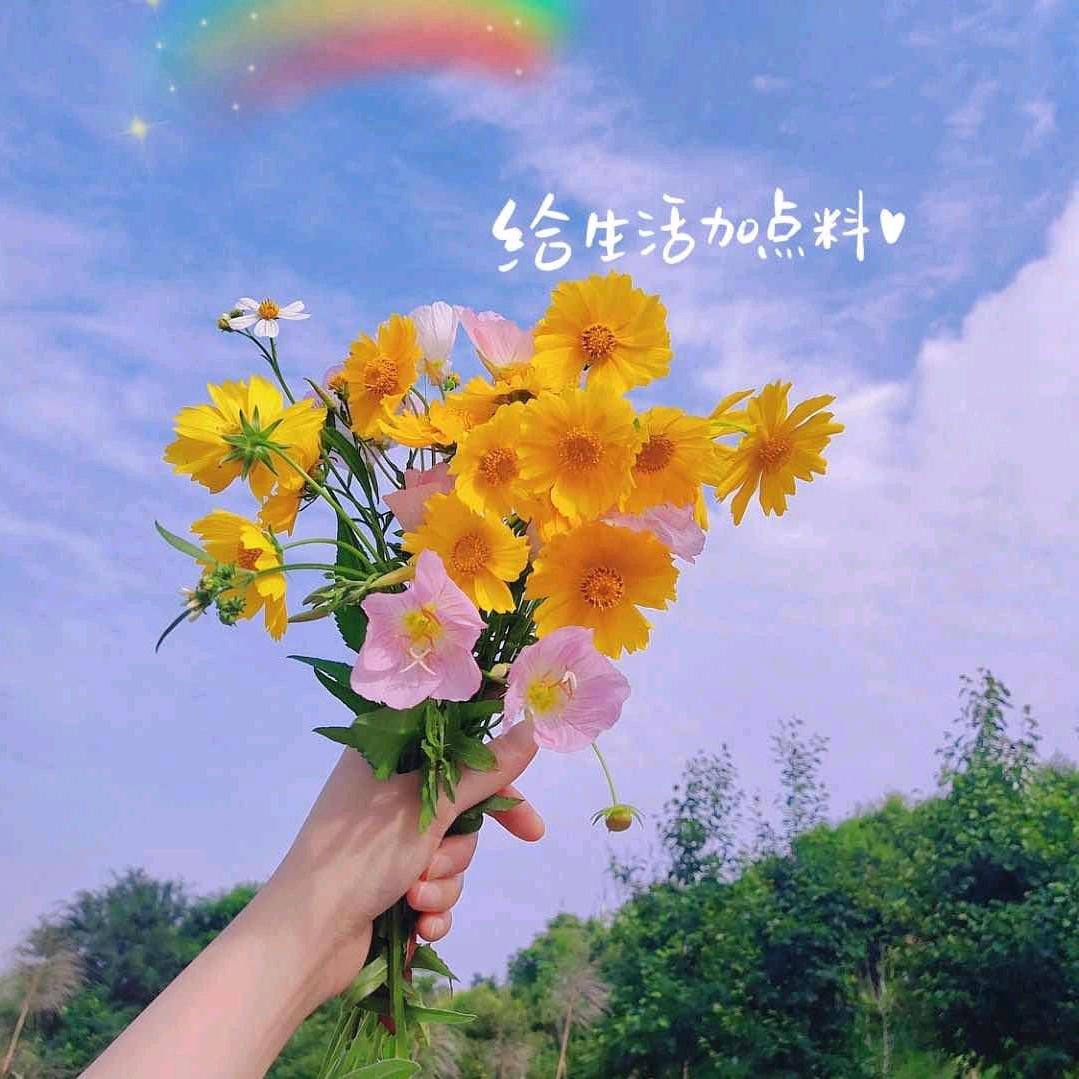 ☀️。
