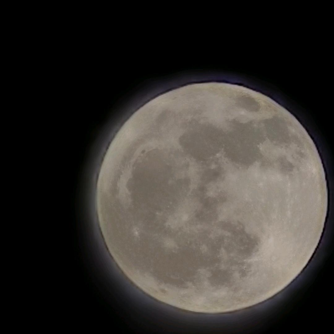 那年杏花微雨，你说你是果郡王先生