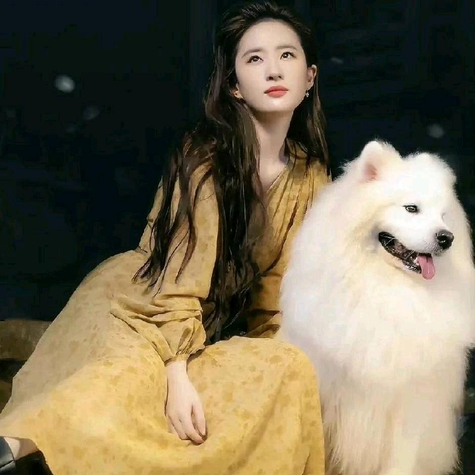 悠悠球