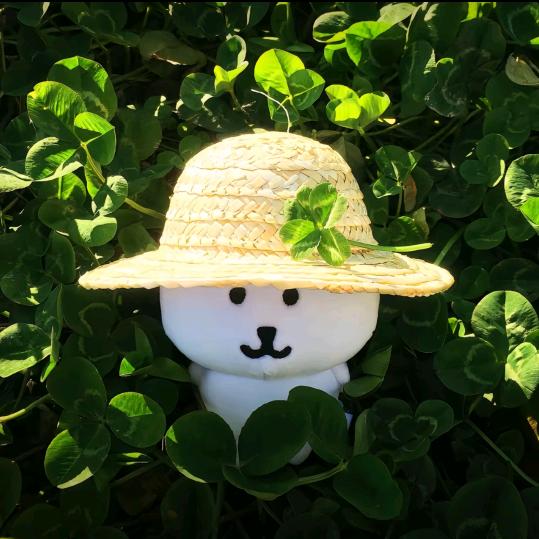 竹寻懿（见到自担幸福版）