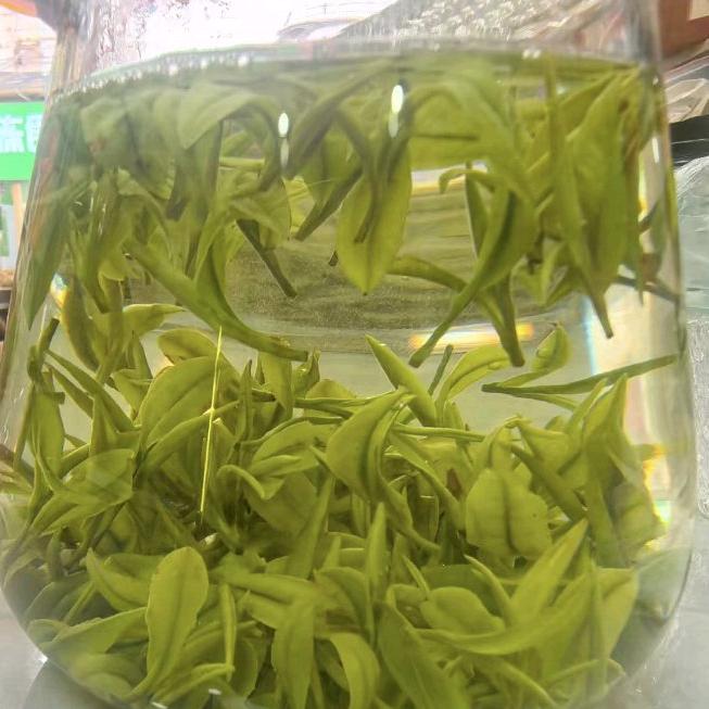 鸿歌
