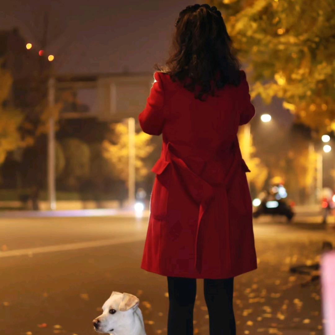 💞白玫瑰 姐姐ღ᭄