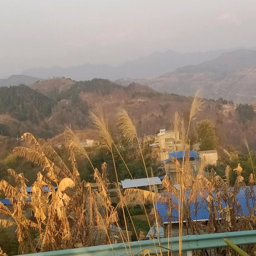 露水❤️情越