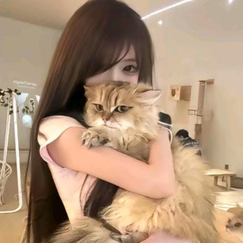 一般纳税人