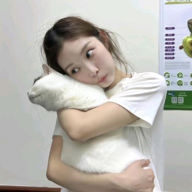 糕冷小文
