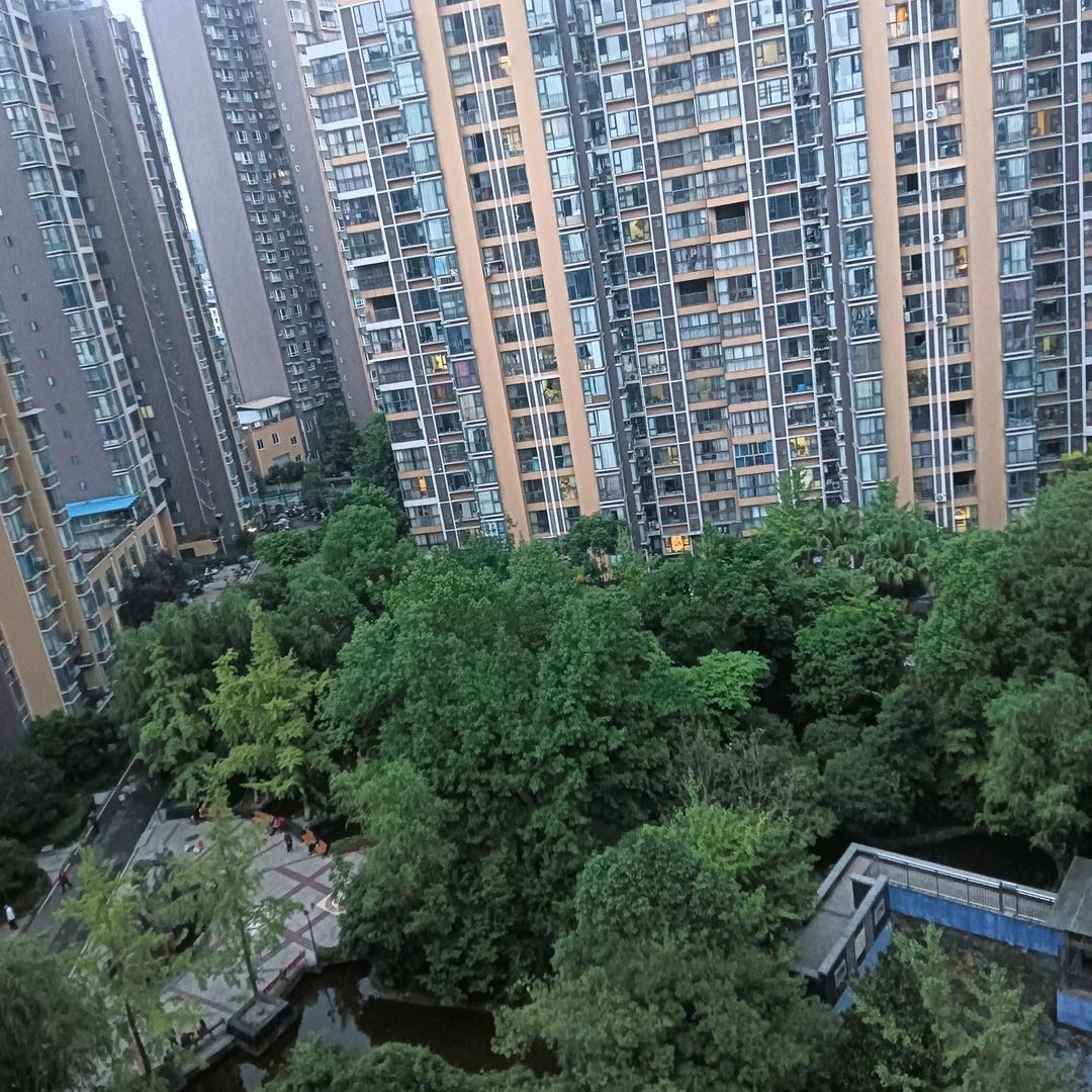 往后余生