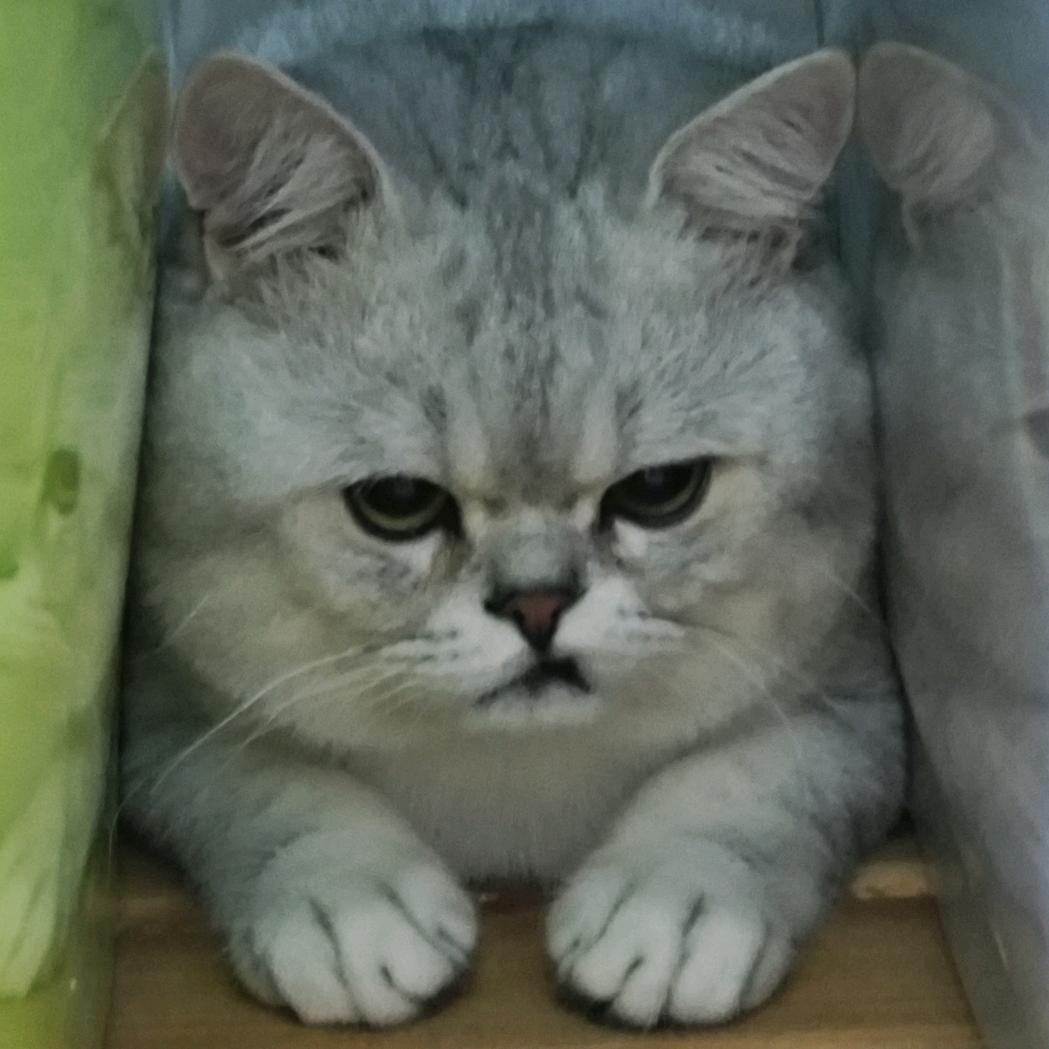 盼