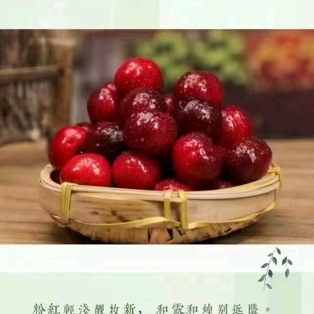 潇🍺洒