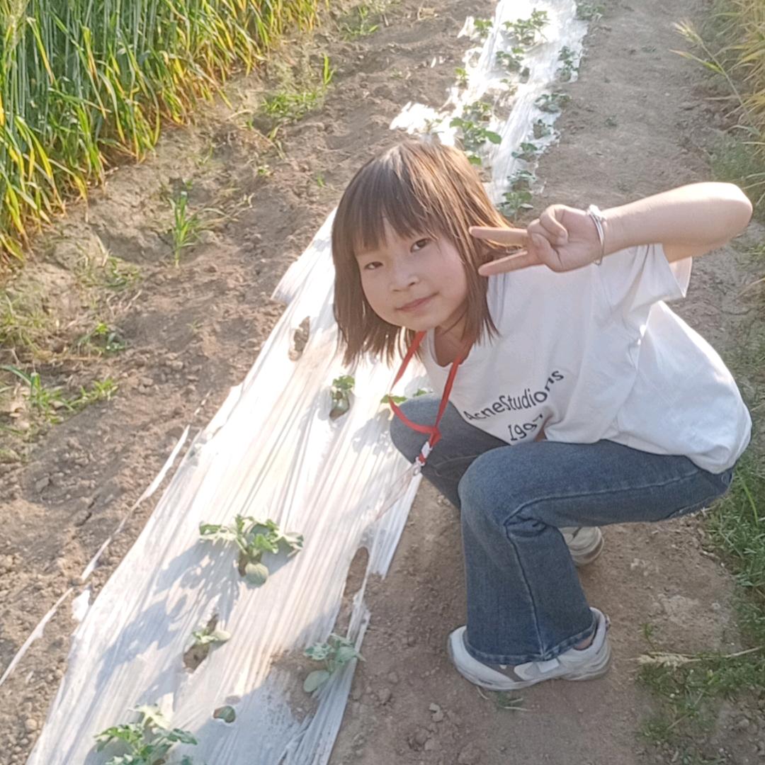温柔的小羊