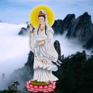 一生在流浪