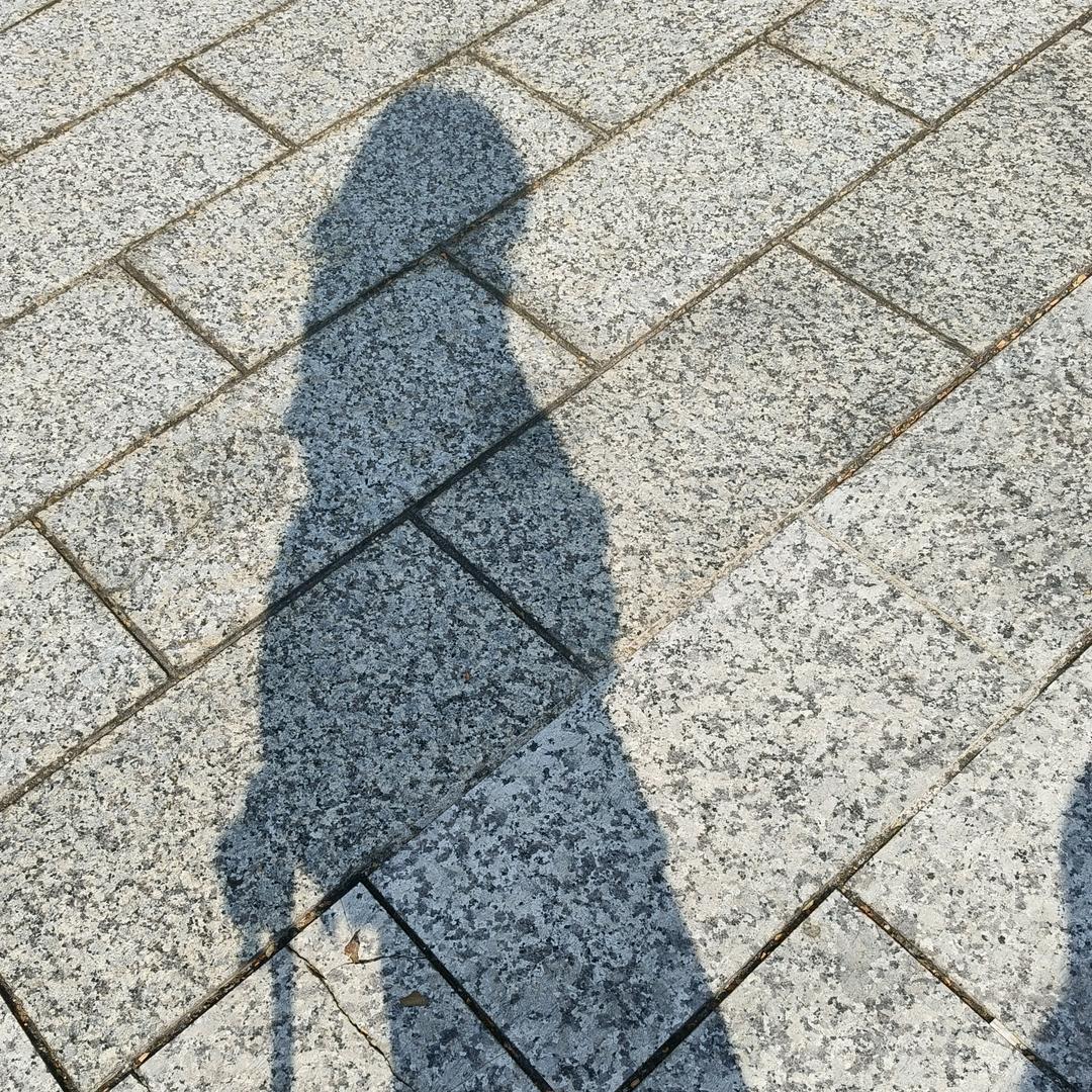 人机2455