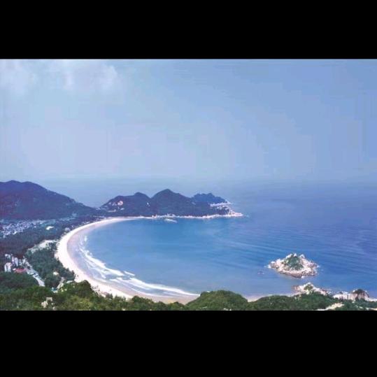 峰清杨车务