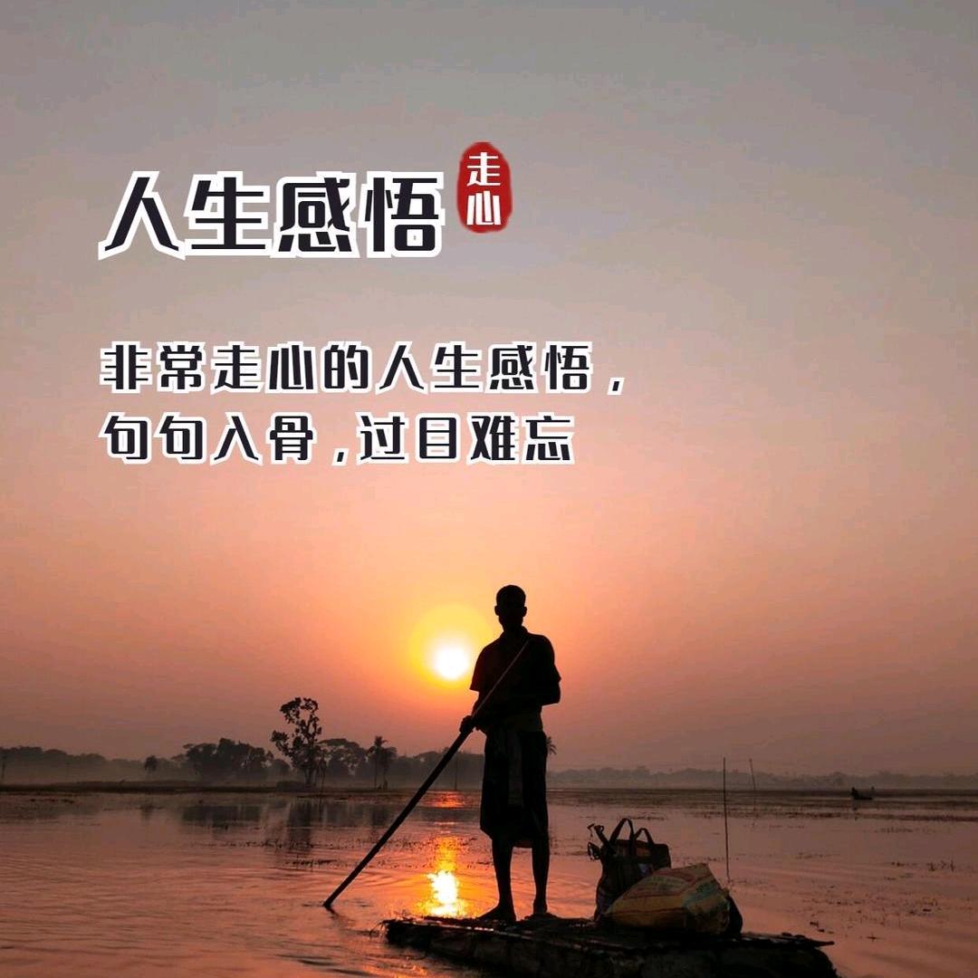 诚哥