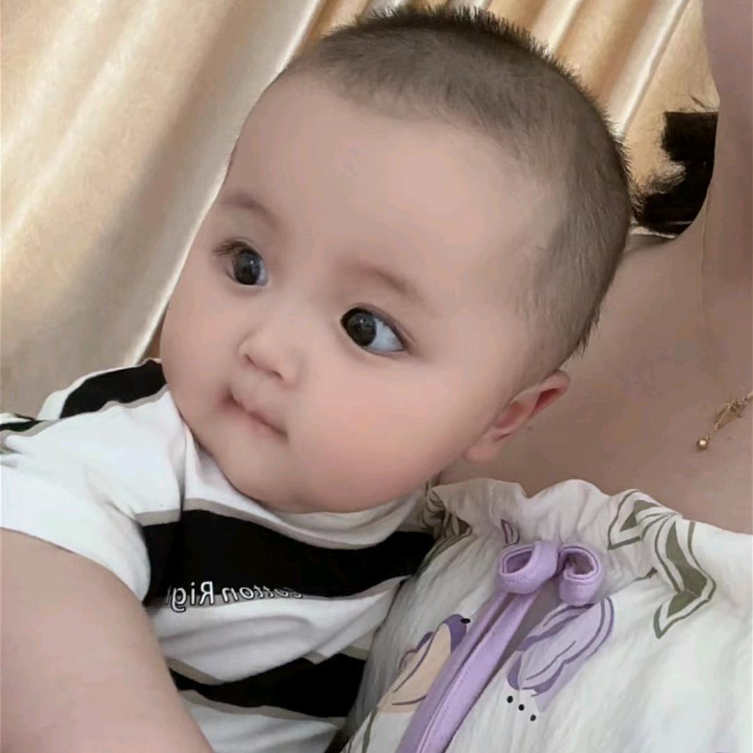 烟花散尽，凋落为止