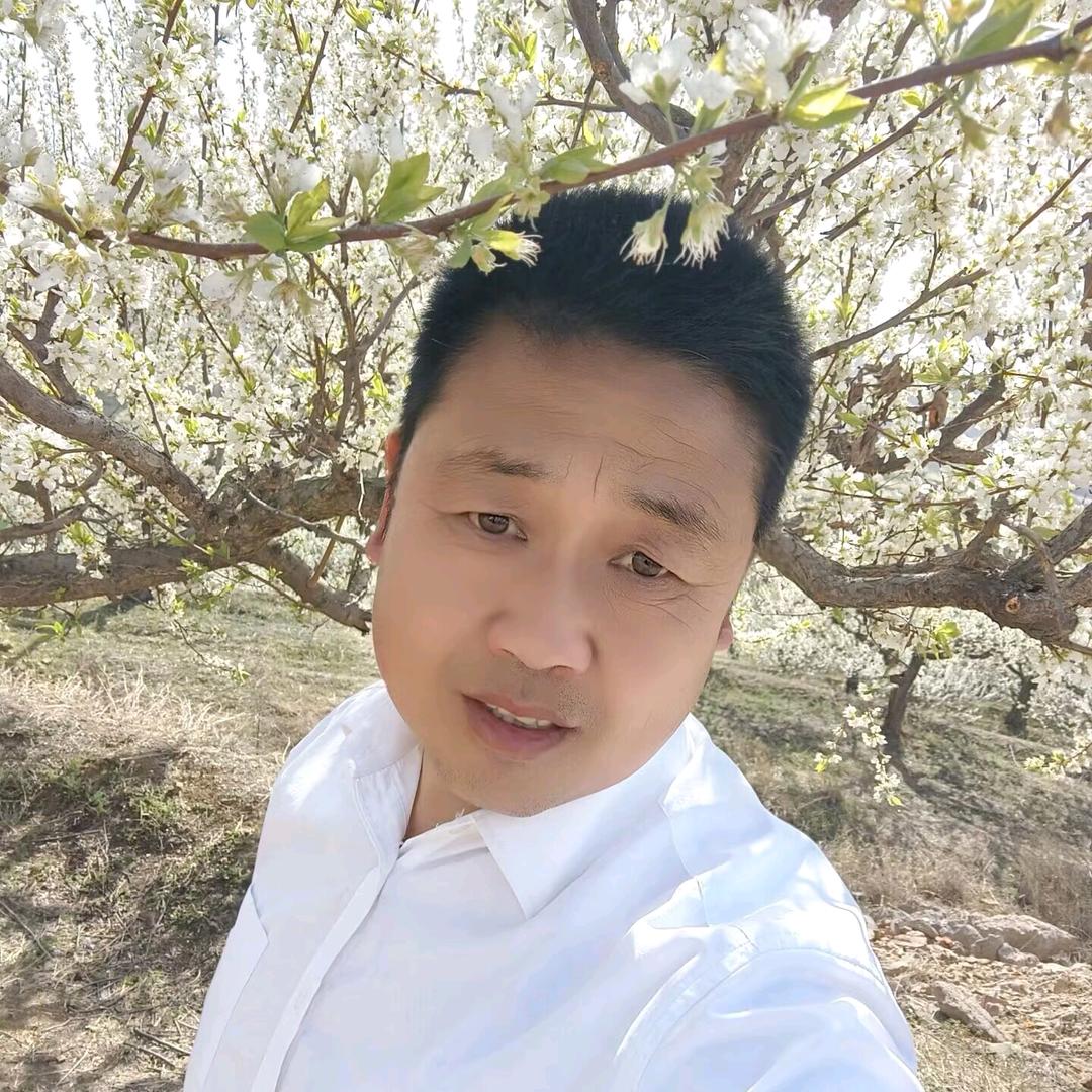 精彩人生