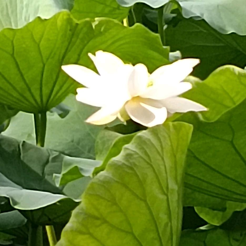 一生何求