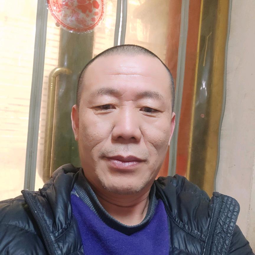 老杨歌