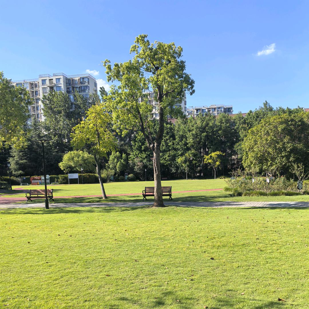 🉐一笑❤倾心💥