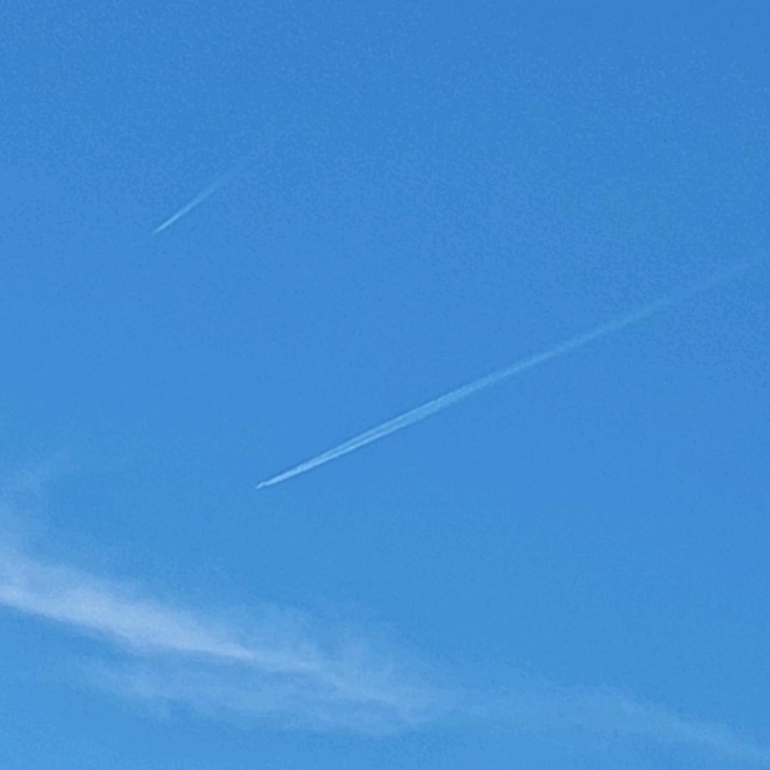尕娃小龙🐉