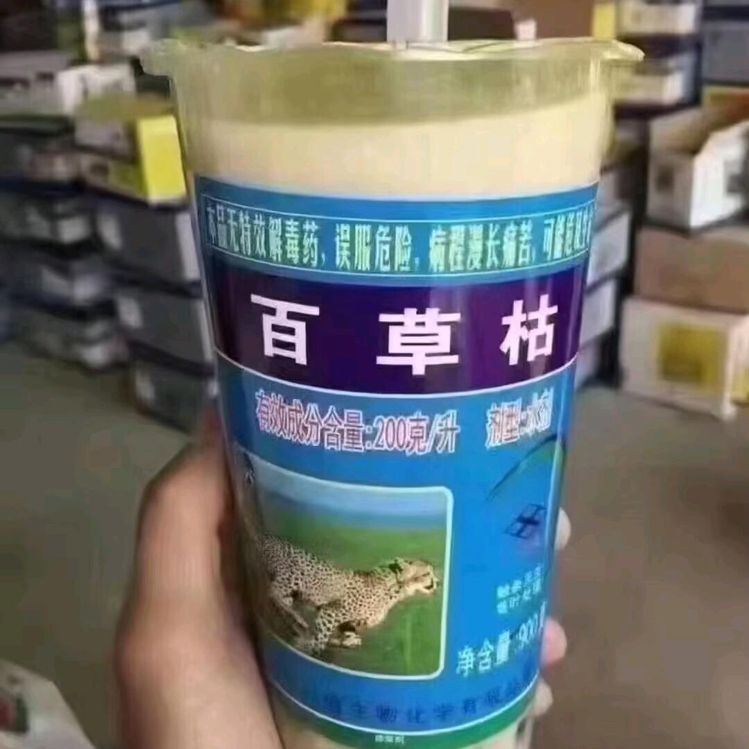 命中无莲