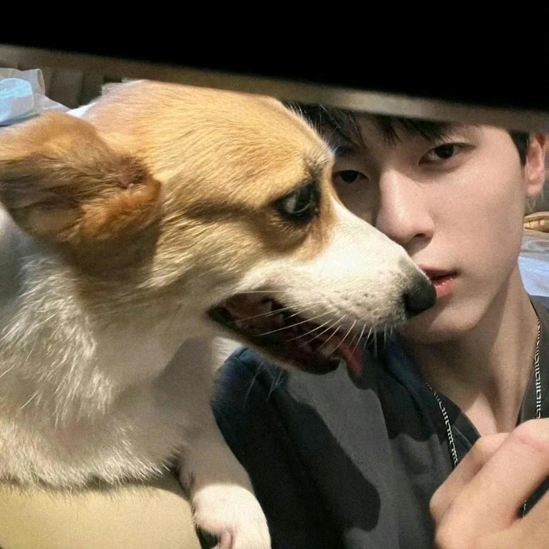 卖女孩的小火柴