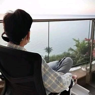 秋枫测