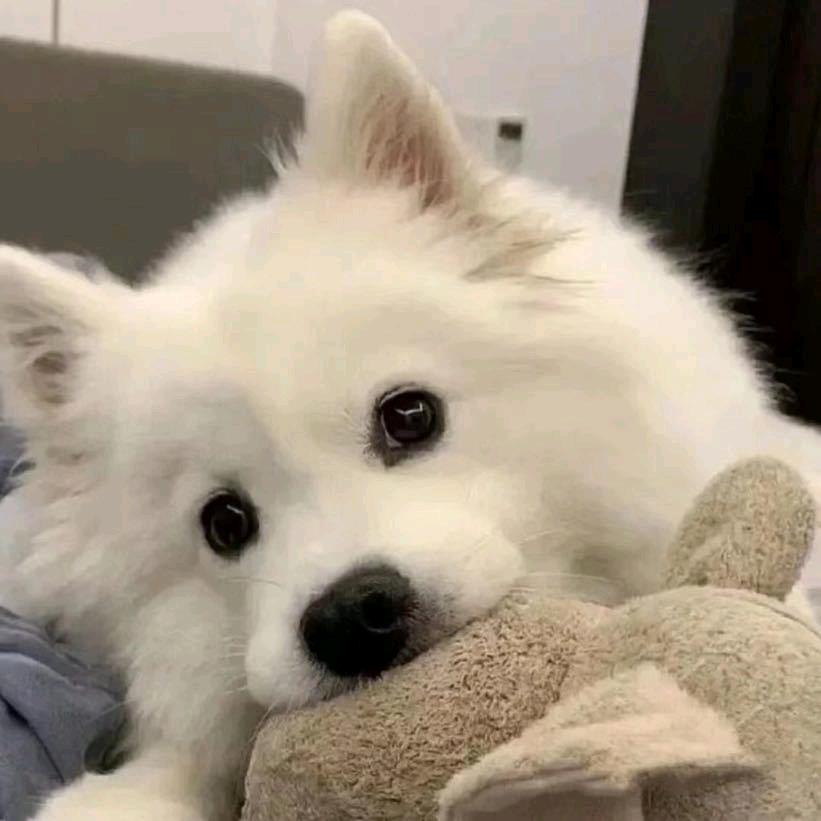 ＾摆烂咸鱼＾🤔