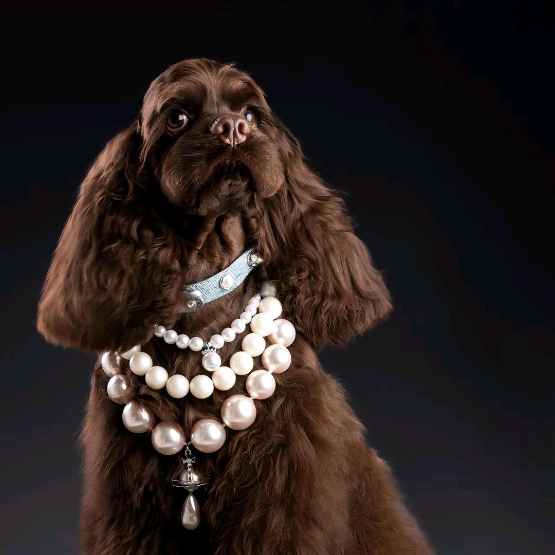 爱拍照的爪啊抓