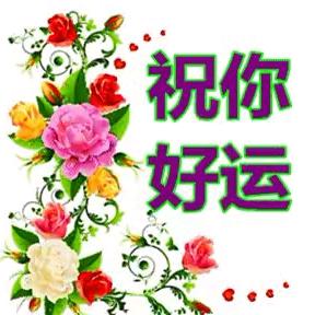 车之家汽车美容（张哥）