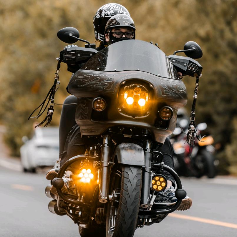 印第安👿老斑鸠