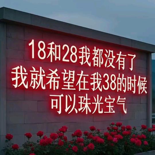 教授级别