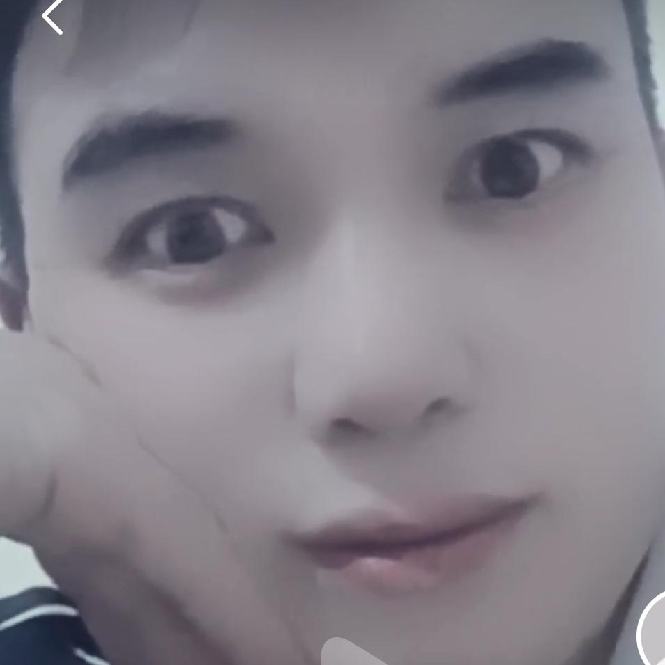 紫云飞扬