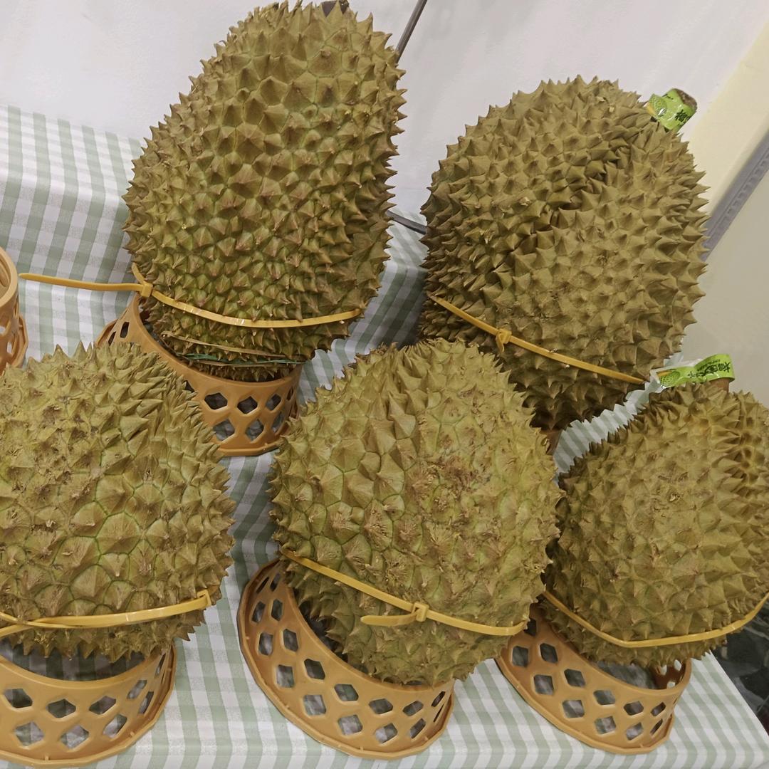 香香果业