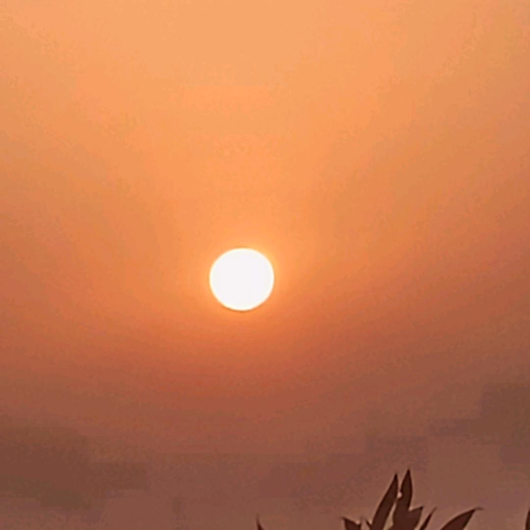 走尽天涯路，携手伴红尘