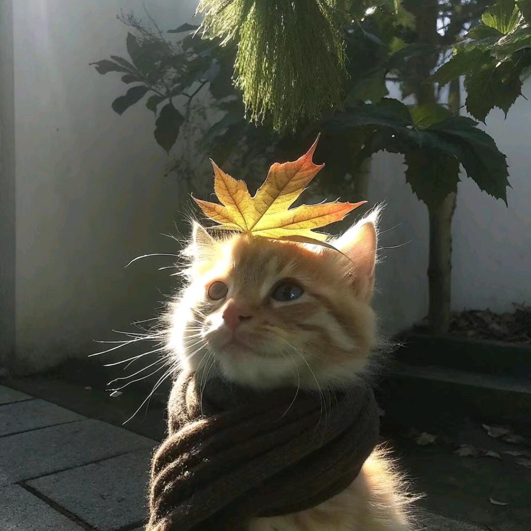 染青史醉红尘
