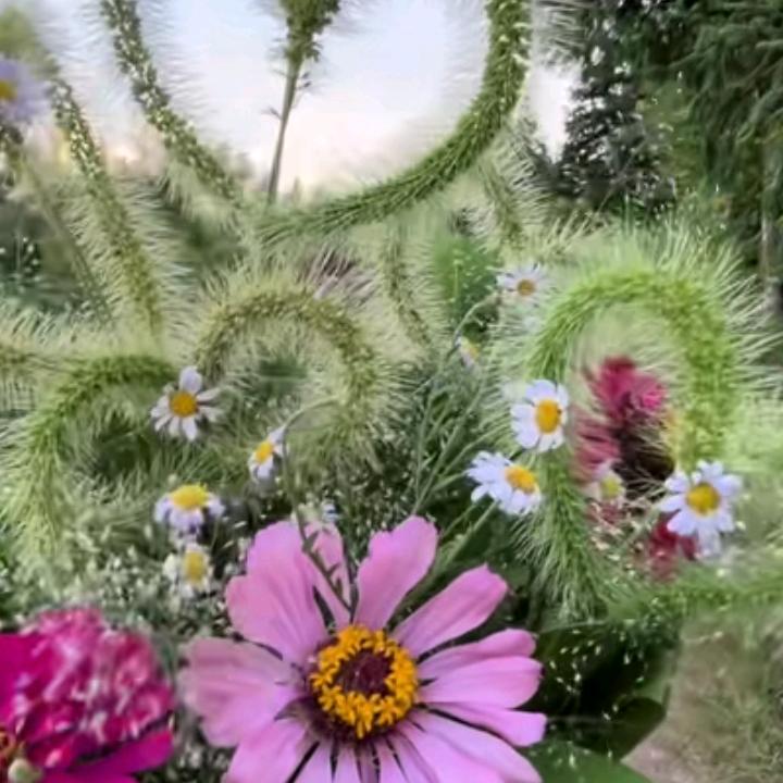 忘掉过去
