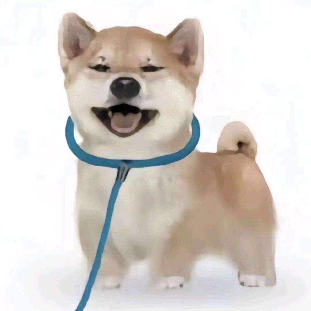 无敌小琴大王