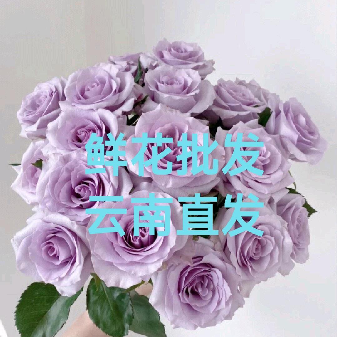 云花之滇鲜花大件批发