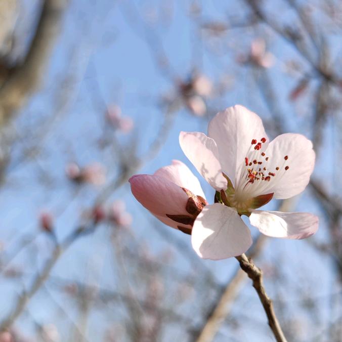 虹云（请作品内点赞评论关注有效粉必回）