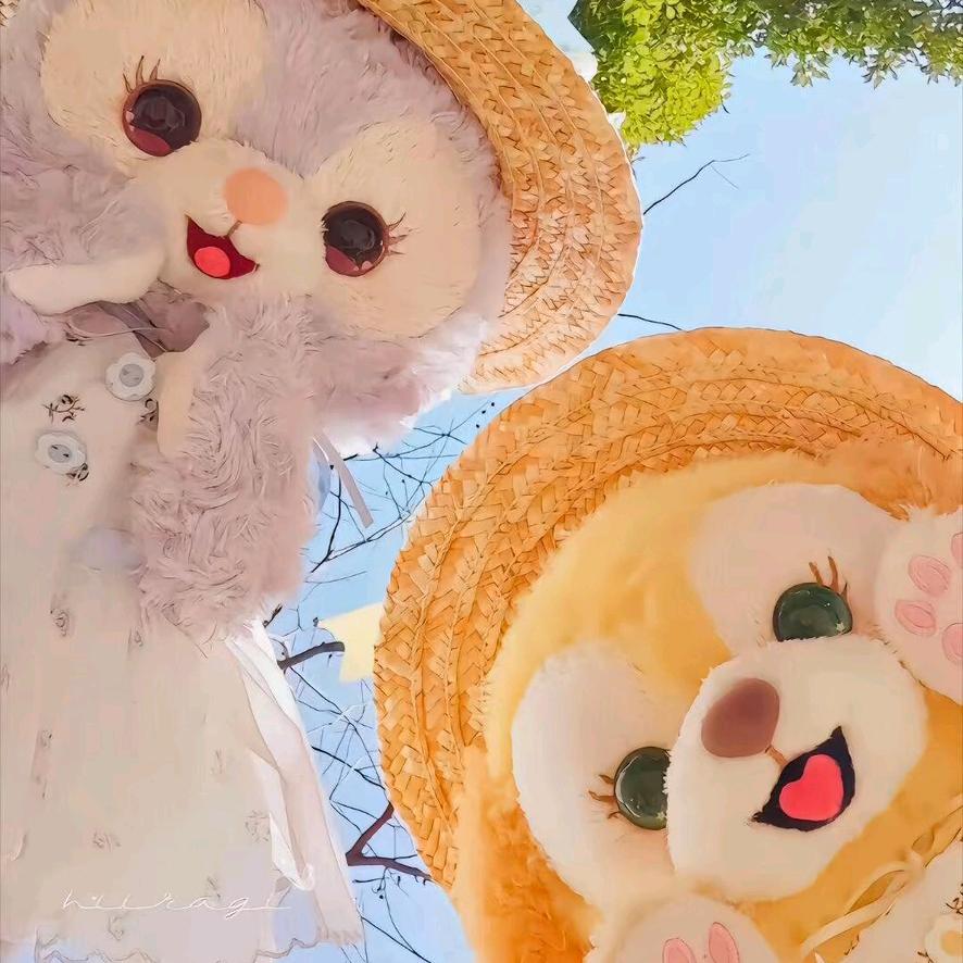 星月菩提