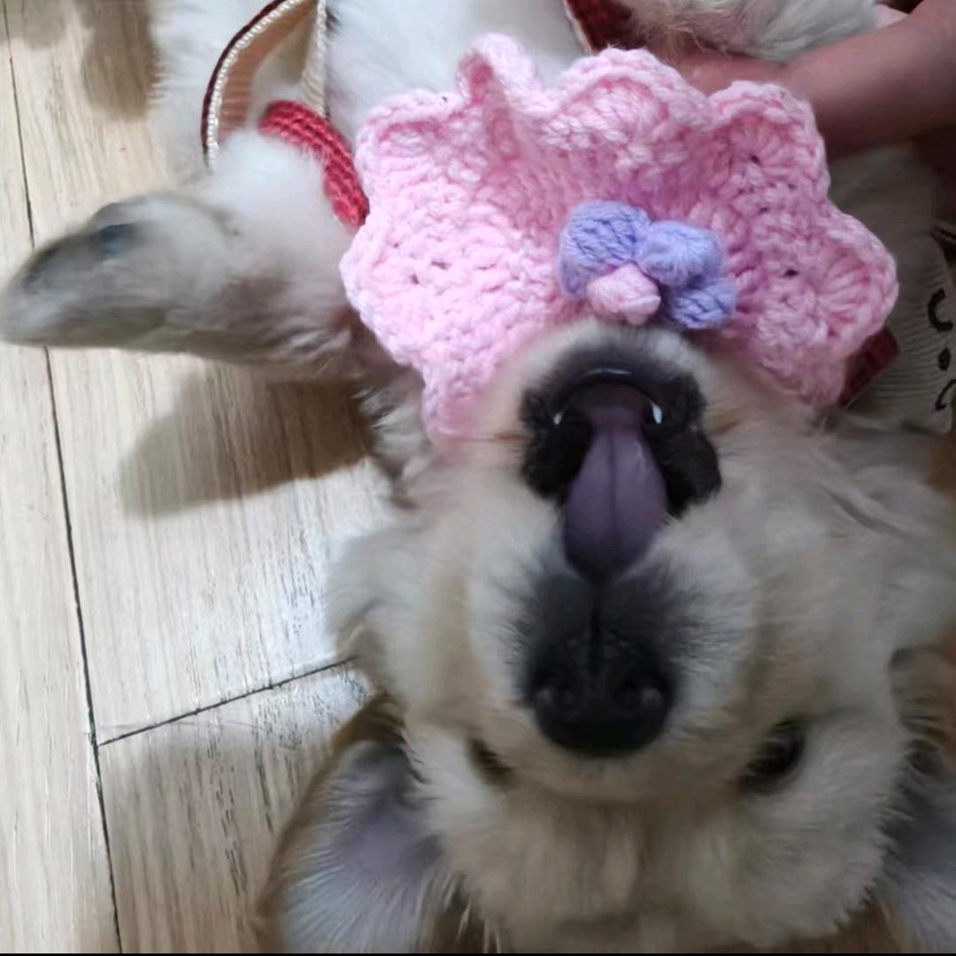 小满满满