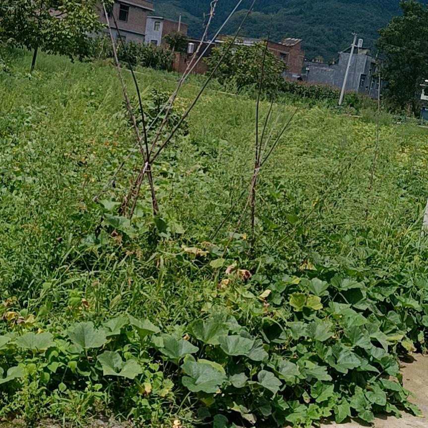♥梦♥想♥♥♥家♥寻♥缘♥