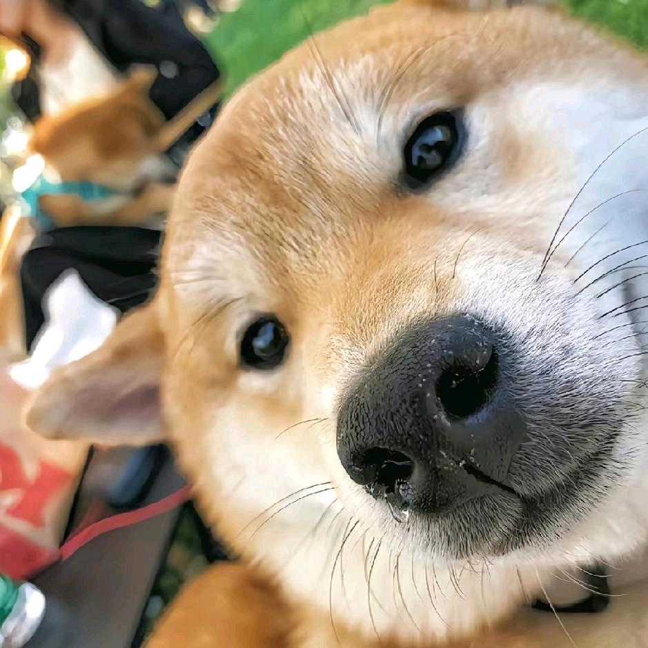 L–lllllll