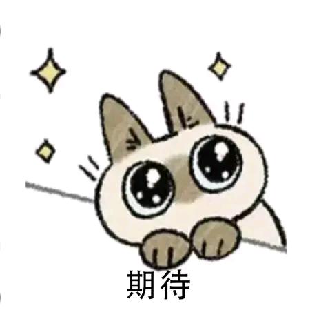 是阳不是羊